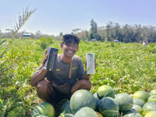 Budidaya Semangka dengan Nutrisi Tanaman Amazink dan Mixcro