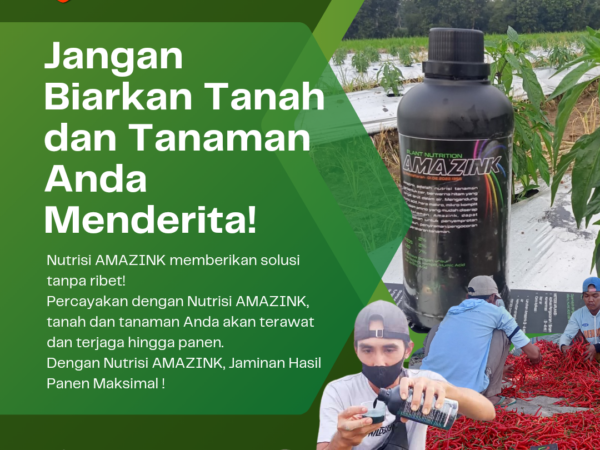 Nutrisi Amazink